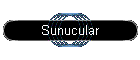 Sunucular