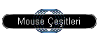 Mouse �e�itleri